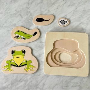 Montessori Wood Frog Life Cycle Nesting Toy